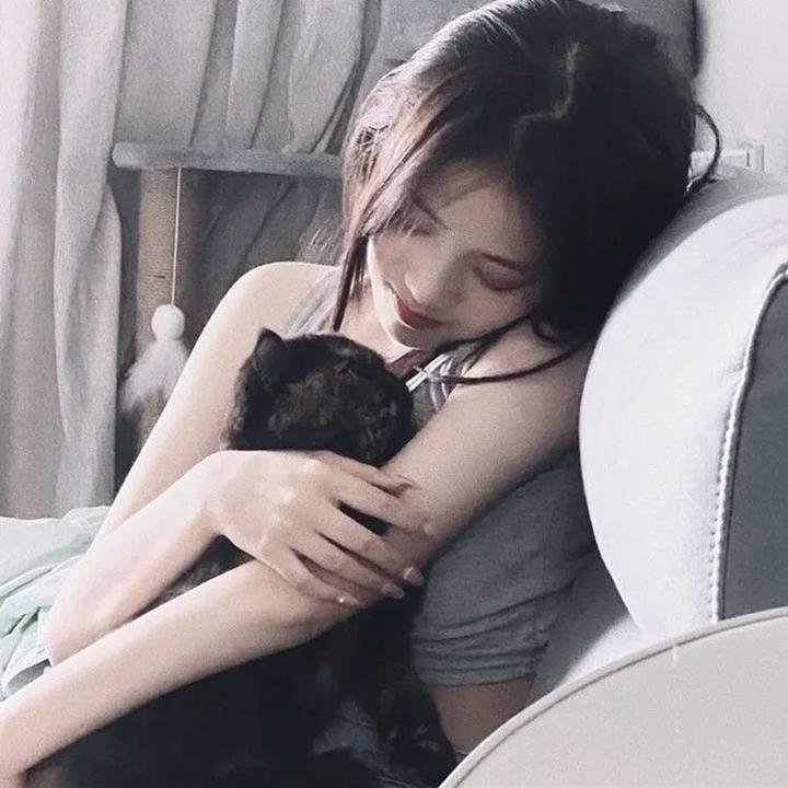 尘网曦光